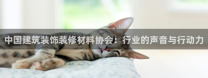 娱乐新航标：中国建筑装饰装修材料协会：行业的声音与行动力