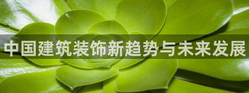 新航娱乐公司旗下艺人