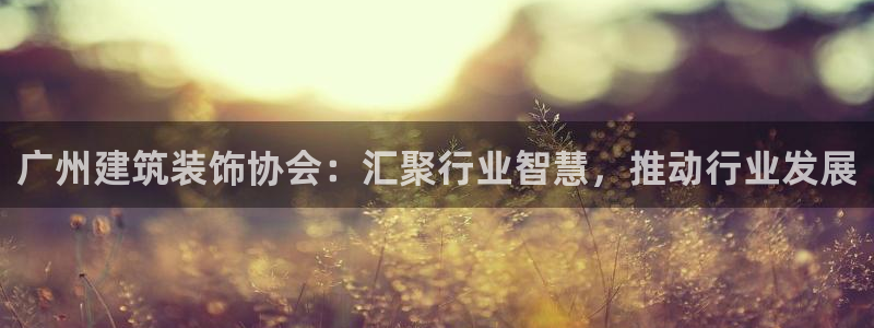 新航娱乐近期演出活动