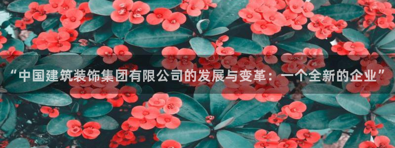 新航娱乐官方