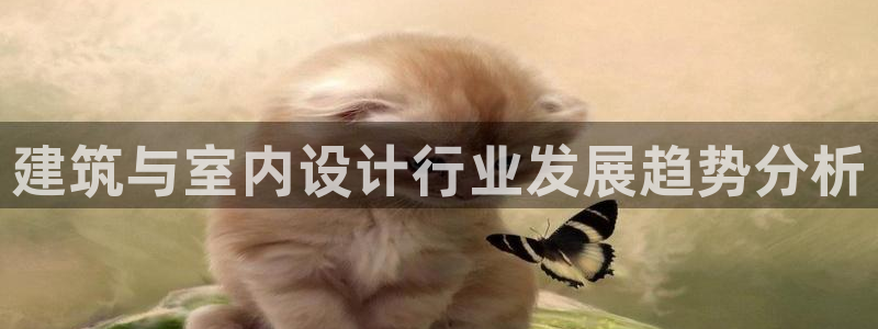 新航娱乐有限公司
