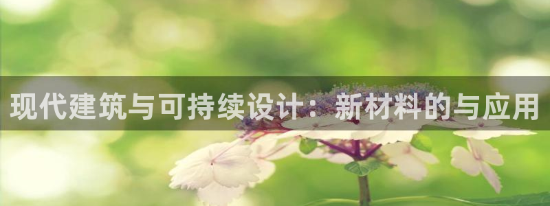 新航娱乐入新航娱乐怎么样