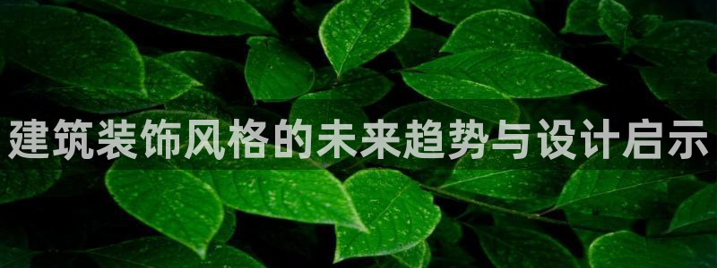 新航娱乐官方网站入口