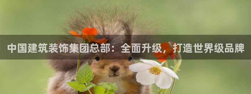 新航娱乐传媒招聘信息