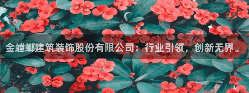 新航娱乐扣款