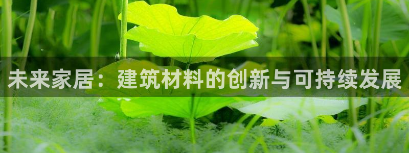 开启娱乐新航线下载
