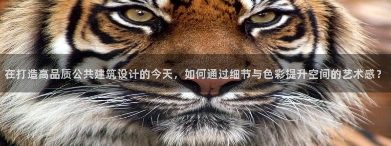 新航娱乐公司招聘信息