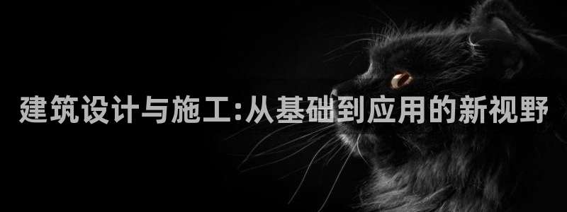 新航娱乐艺人