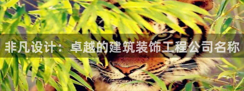 中国新航娱乐官网入口