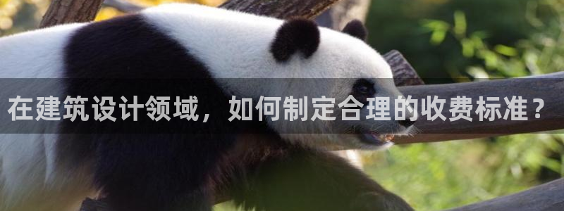 新航娱乐属于什么档次