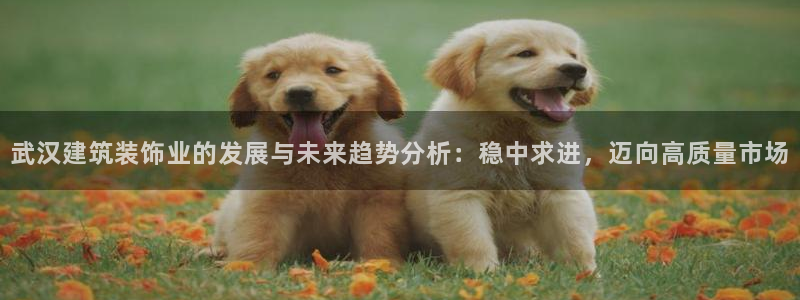 新航娱乐有限公司招聘