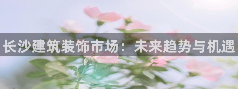 新航娱乐公司招聘电话