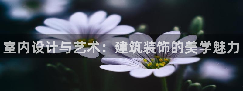 开启娱乐新航线