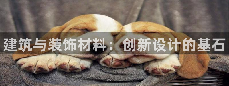 兰山新航线娱乐