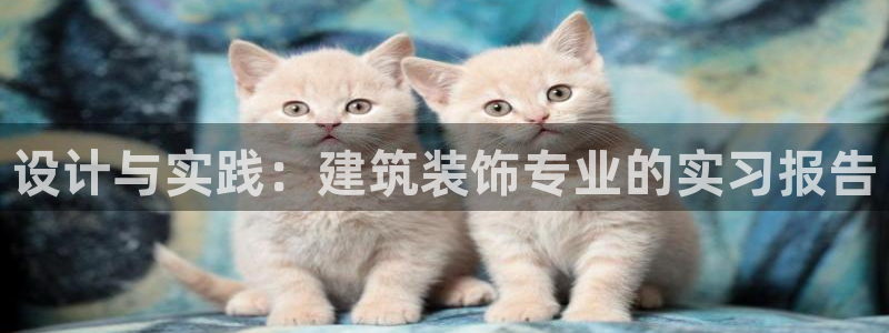 新航娱乐管理有限公司