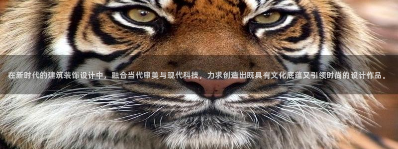 娱乐新航线