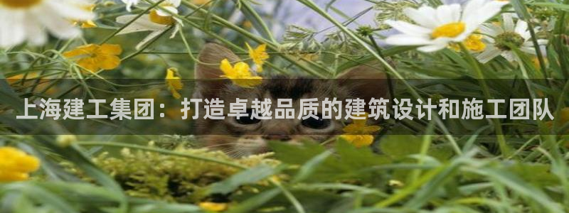 中国新航娱乐在哪个平台