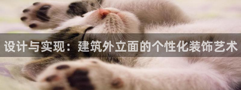 萧山娱乐新航母阿里巴巴