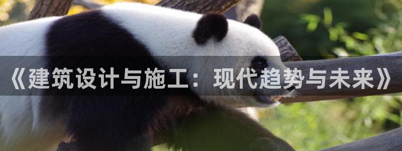 新航娱乐公司地址