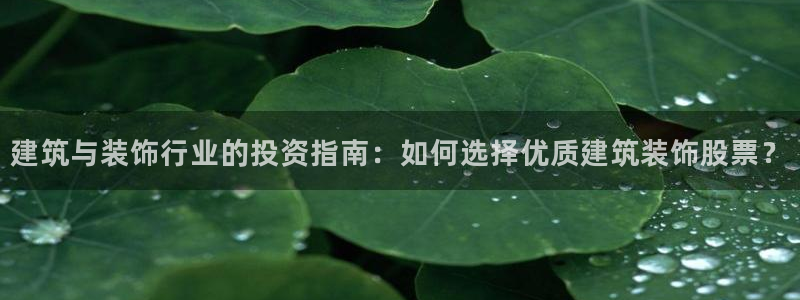 新航娱乐主管是谁
