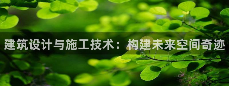 新航娱乐最高返点多少