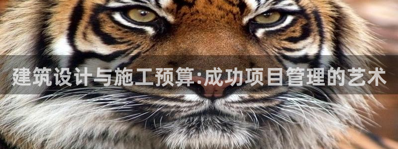 新航娱乐被国家认可吗