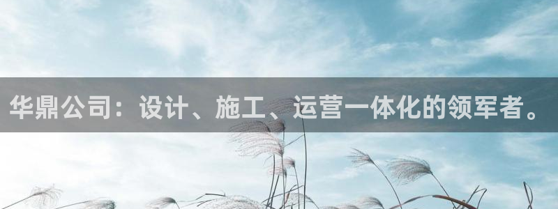 新航娱乐观