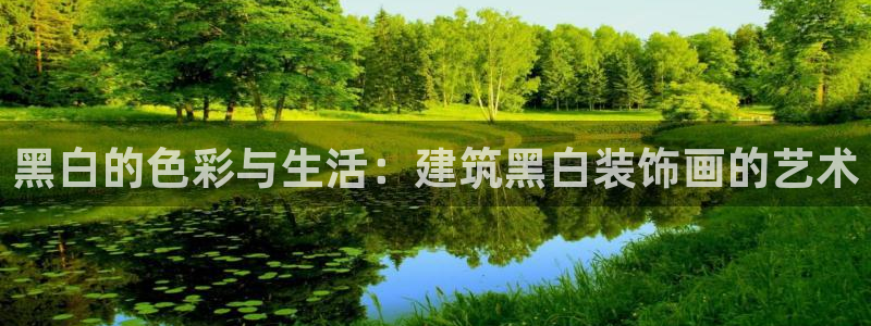 新航娱乐公司地址查询