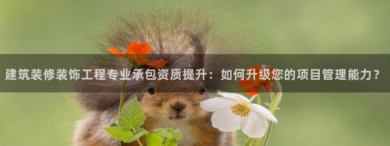 新航娱乐公司