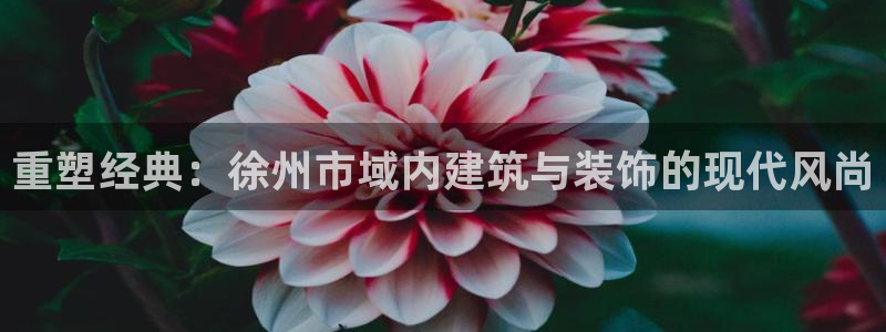 新航娱乐传媒怎么样啊