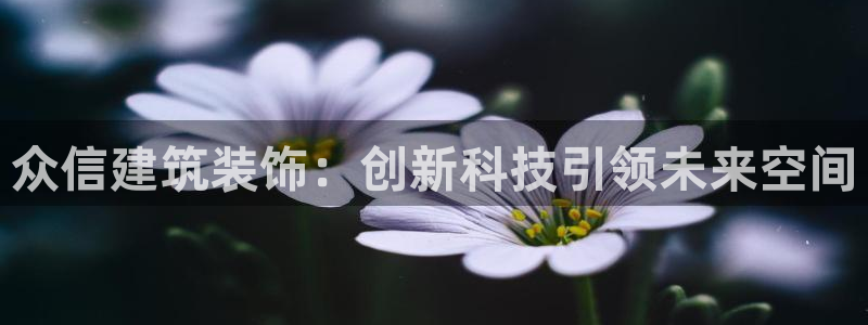 新航娱乐公司简介