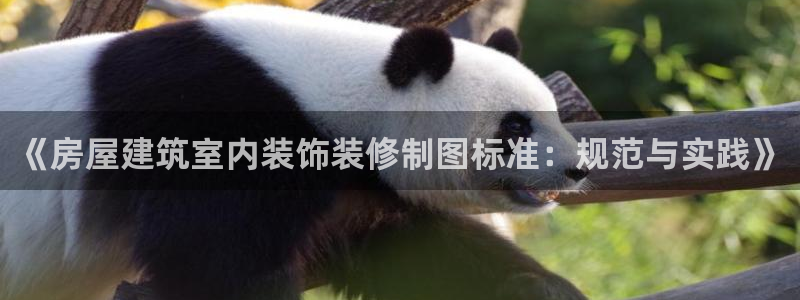新航路开辟中的娱乐