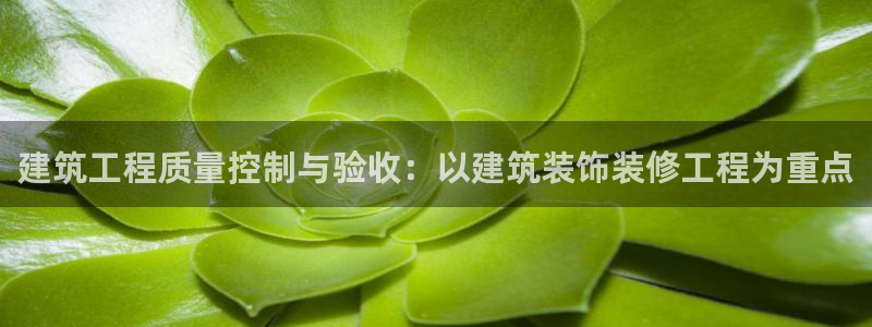 新航机上娱乐