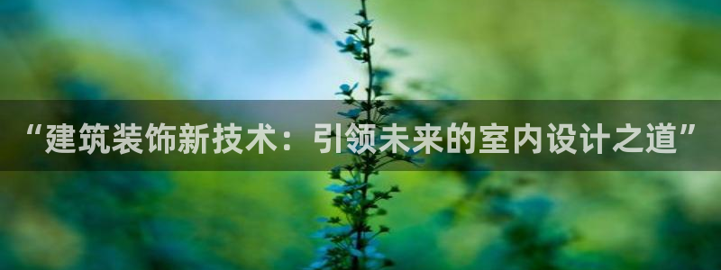 新航娱乐有限公司地址