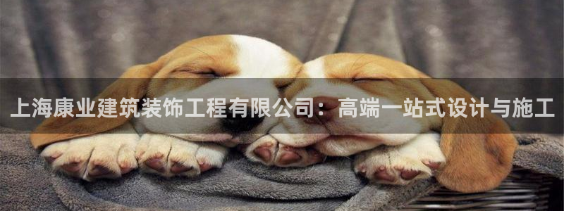 金城娱乐新航母