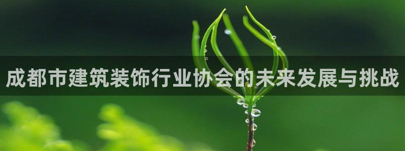 新航娱乐传媒怎么样啊