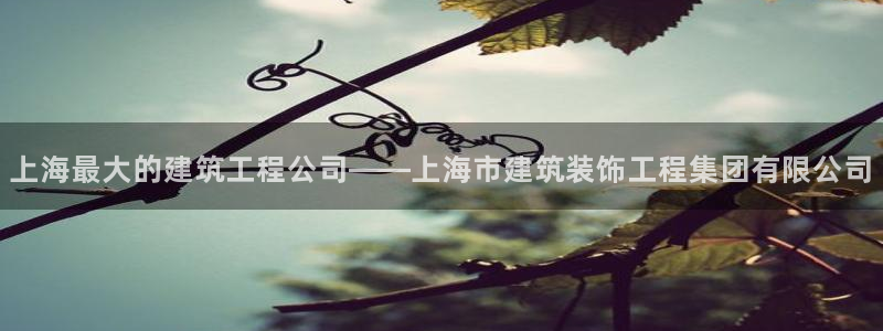 新航娱乐扣款