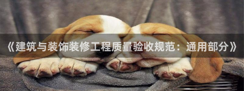 新航娱乐传媒招聘信息网