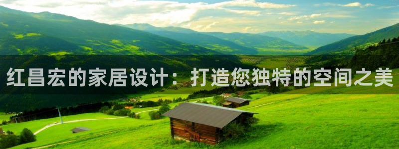 新航娱乐公司问题