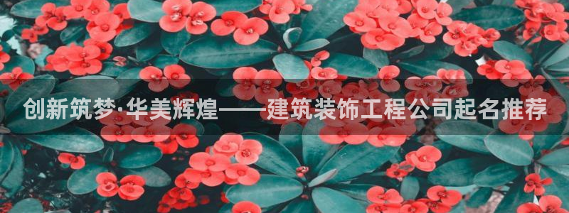 新航娱乐传媒
