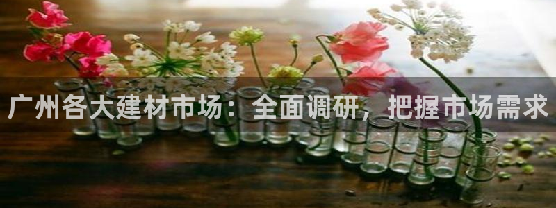 新航娱乐传媒怎么样