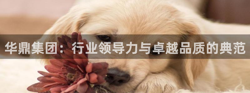 新航娱乐app下载安装