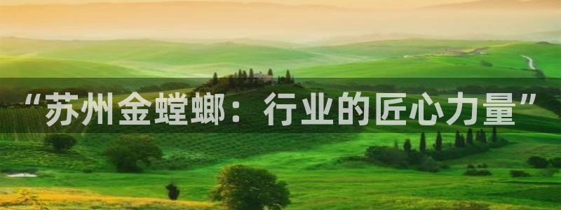 新航娱乐公司招聘电话