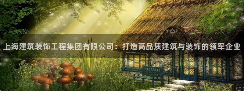 新航娱乐管理有限公司