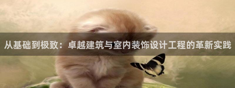 娱乐新航线