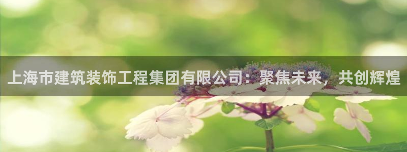 打造娱乐新航母