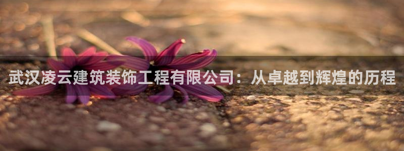 岛城娱乐新航向