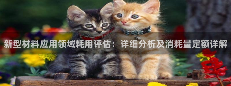 新航娱乐最新产品发布
