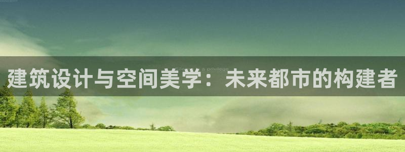 新航娱乐公司简介