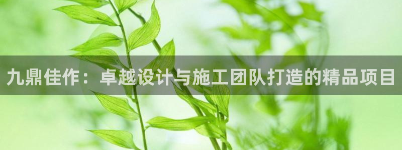 新航娱乐直开怎么下载